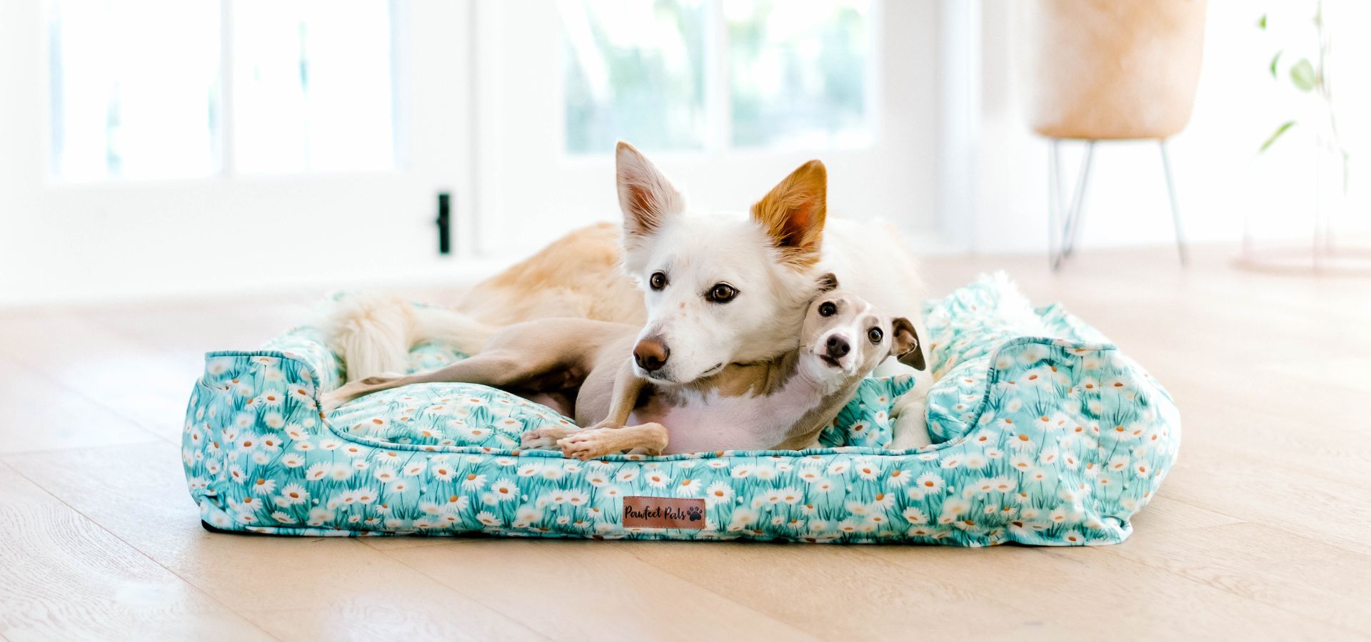 Humane society bolster dog bed best sale