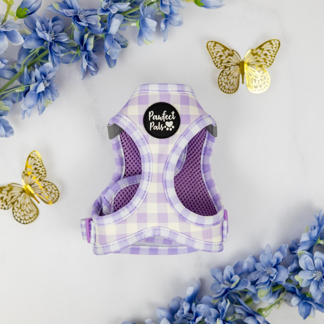 Social Butterfly Purple Gingham Cat Harness Pawfect Pals