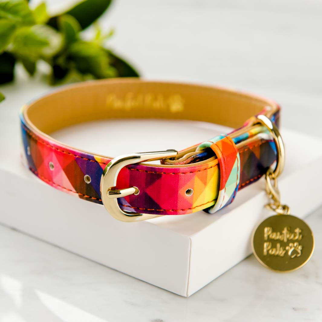 Sunshine on sale dog collar