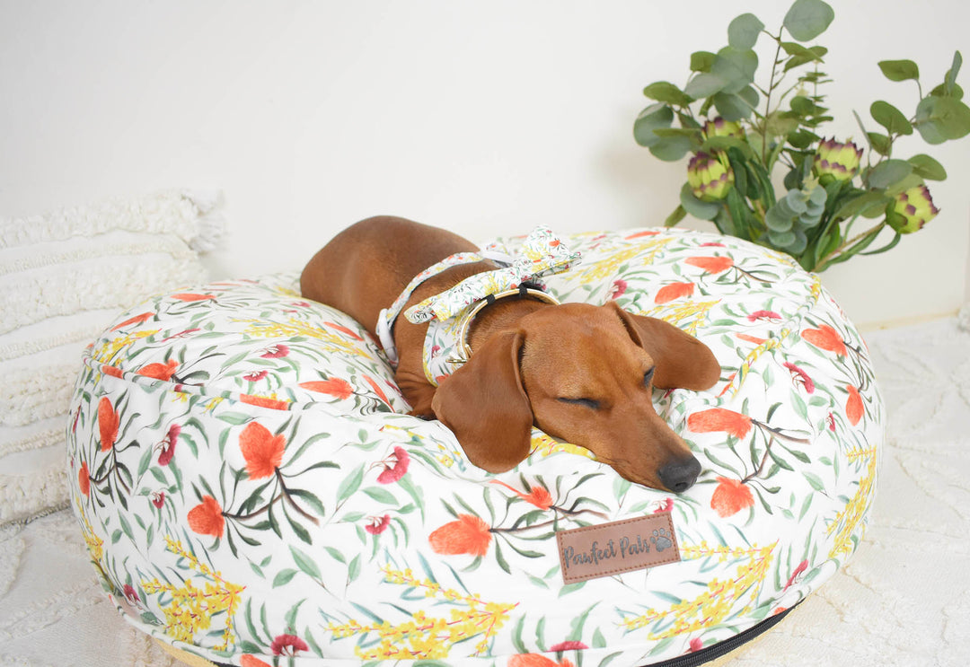 Dog relaxing comfortably on their dog bed.