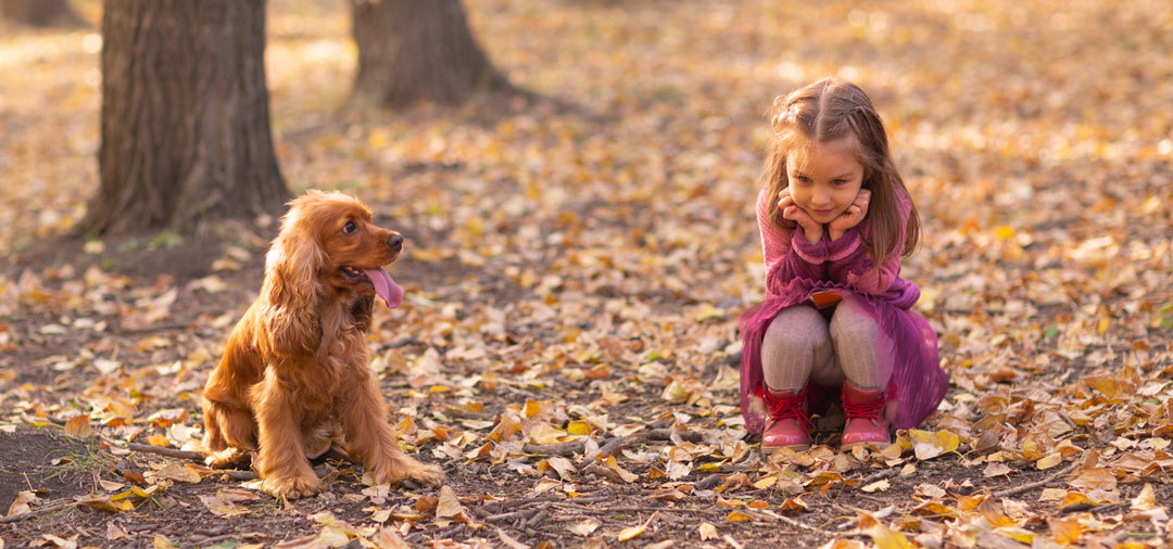 girl and dog in autumn leaves