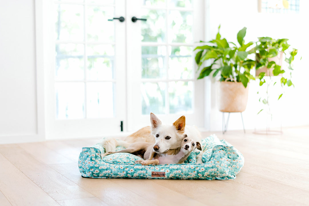 Two dogs sleep happily on a Pawfect Pals Snuggle Bud dog bed.
