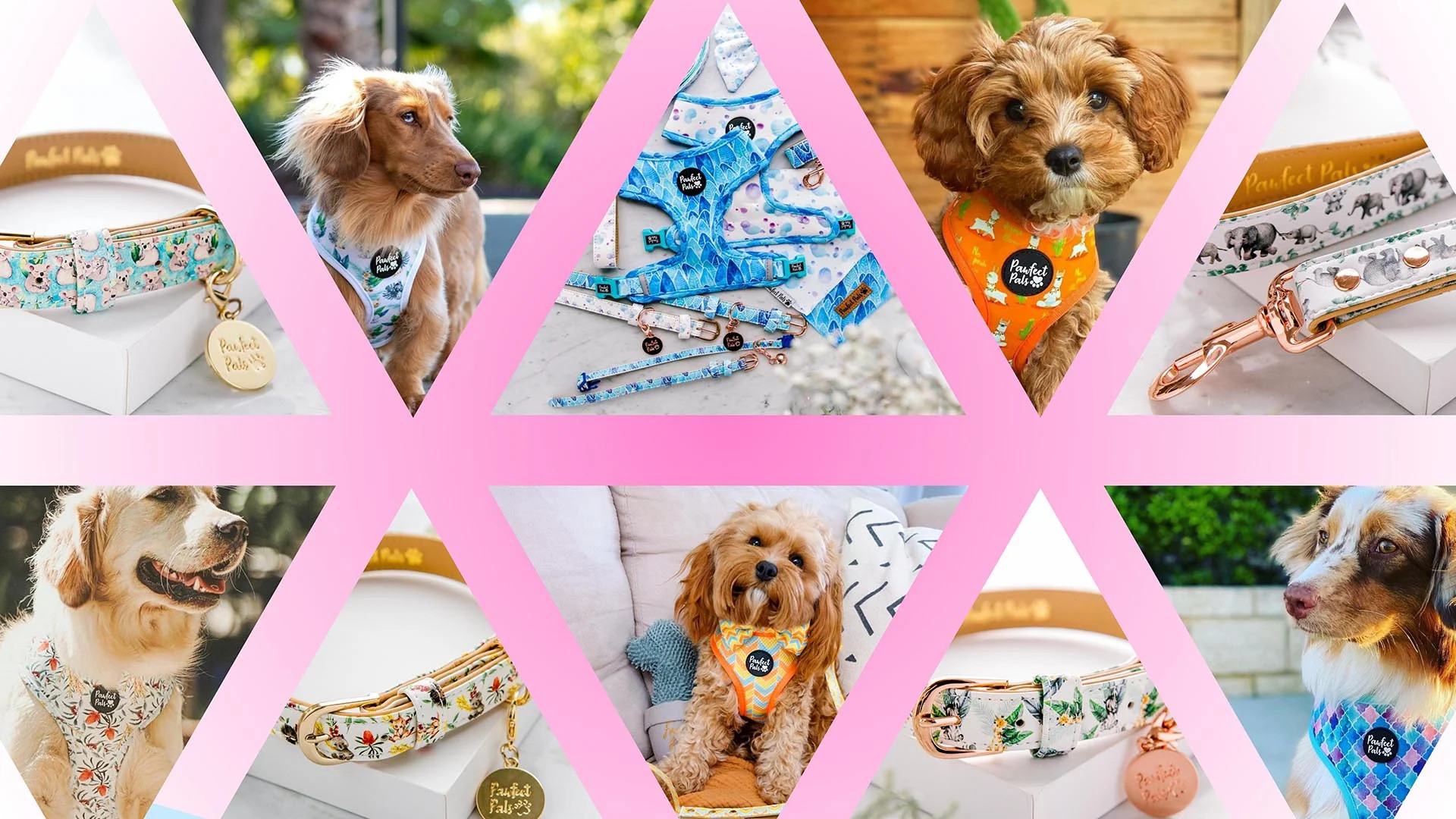 Pawfect Pals on sale collection.