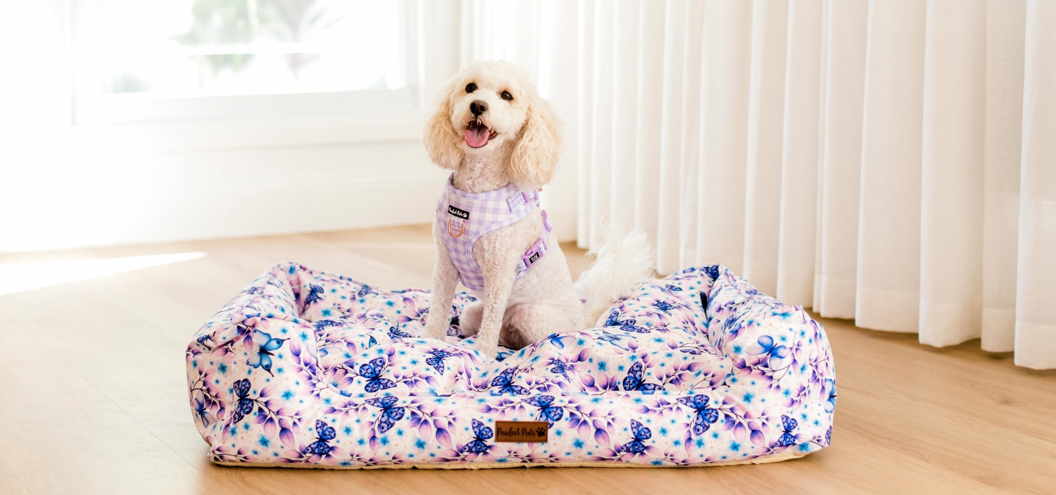 White Dog on Purple Butterfly Dog Bed