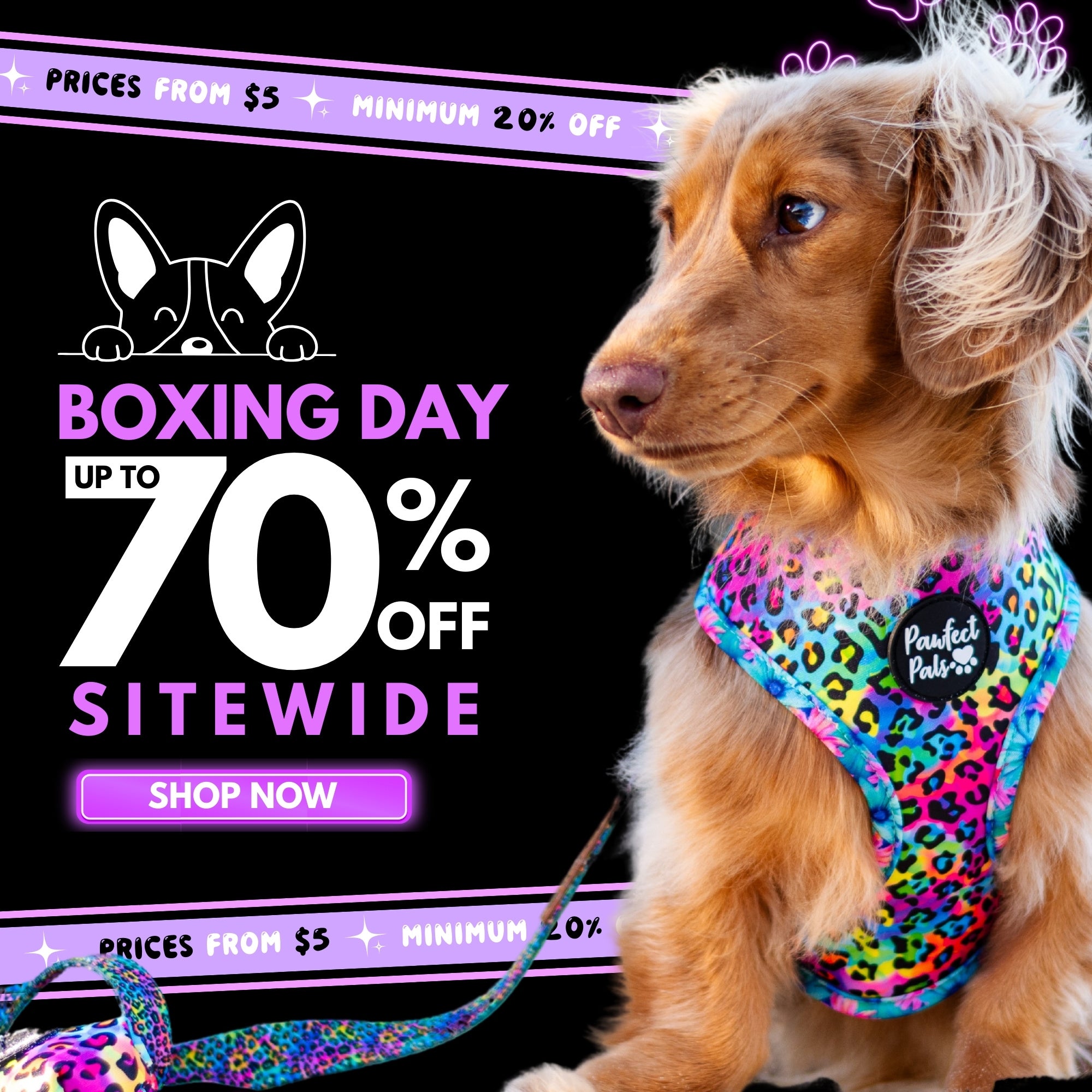 Puppy accessories store hotsell