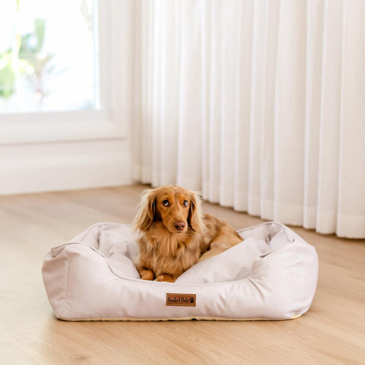 AmbassaDOG in the small Calm Biege Snuggle Bud dog bed.