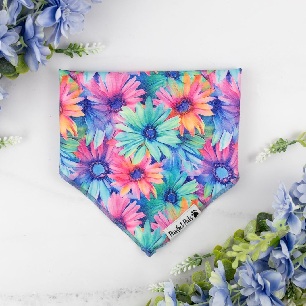 Daydream Believer cotton bandana