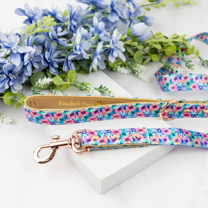 Daydream Believer vegan leather dog lead.