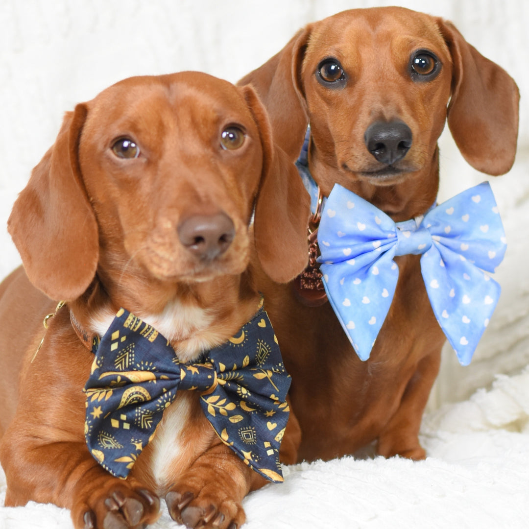 Midnight Sky - Sailor Bow Tie