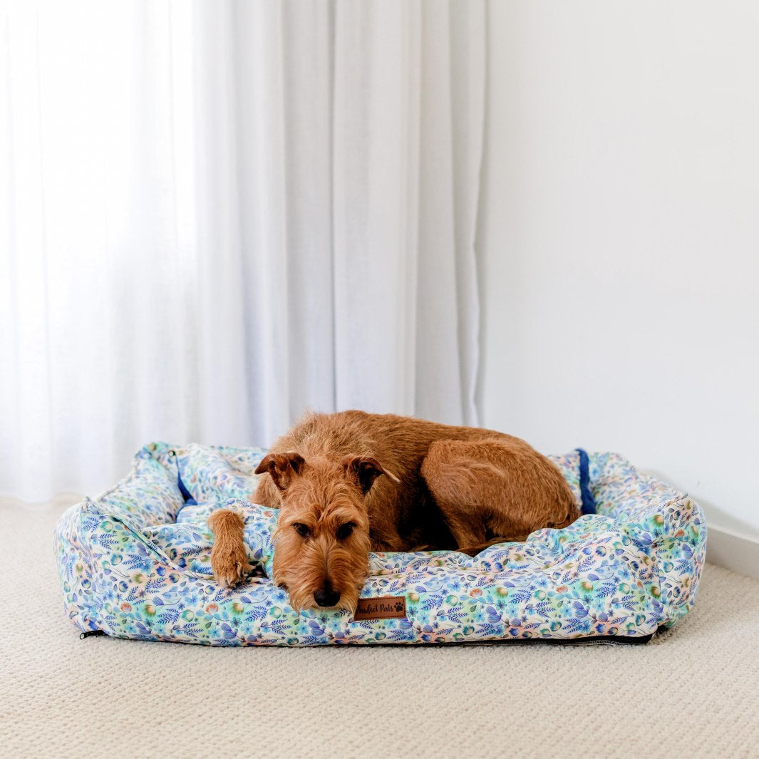 AmbassaDOG on the large Once Upon a Flower Snuggle Bud dog bed.