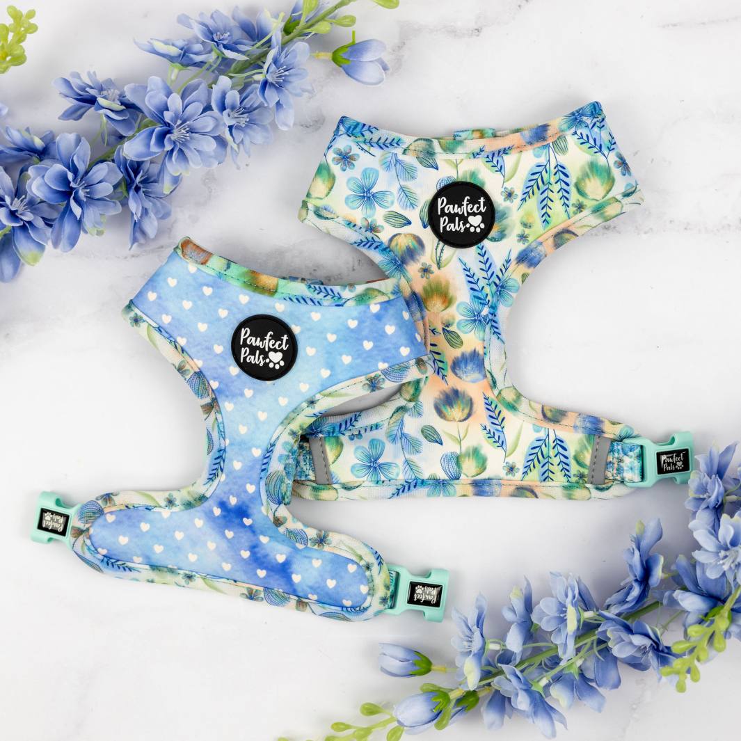 Once Upon a Flower reversible dog harness.