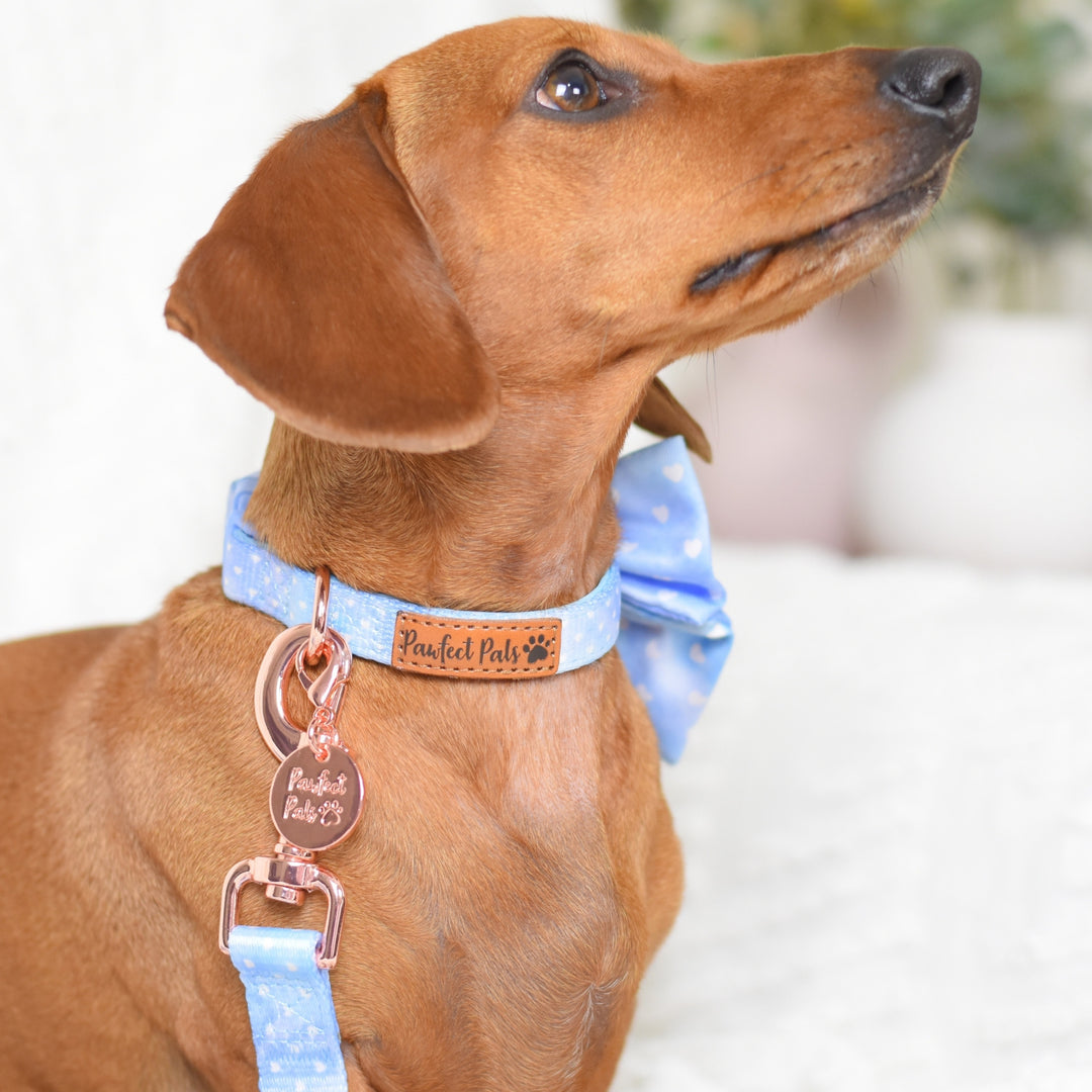 Once Upon a Flower - Hearts Soft Dog Collar