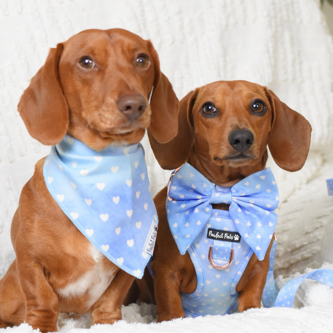 Once Upon a Flower - Hearts Cotton Bandana