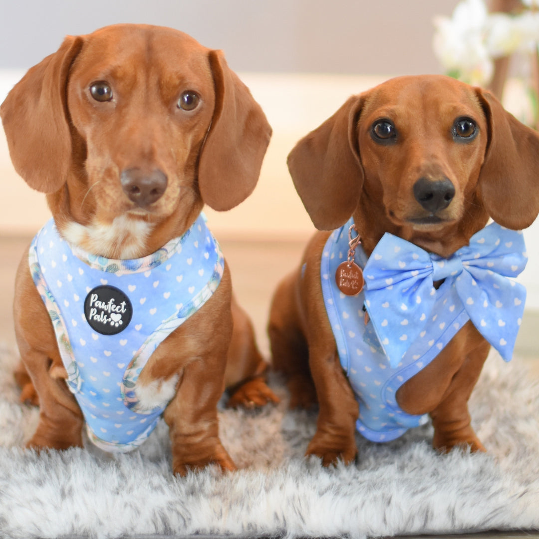 Once Upon a Flower - Hearts Sailor Bow Tie