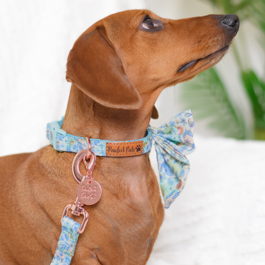 Once Upon a Flower - Soft Dog Collar