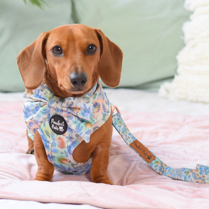 Once Upon a Flower - Adjustable Harness Walkies Pack