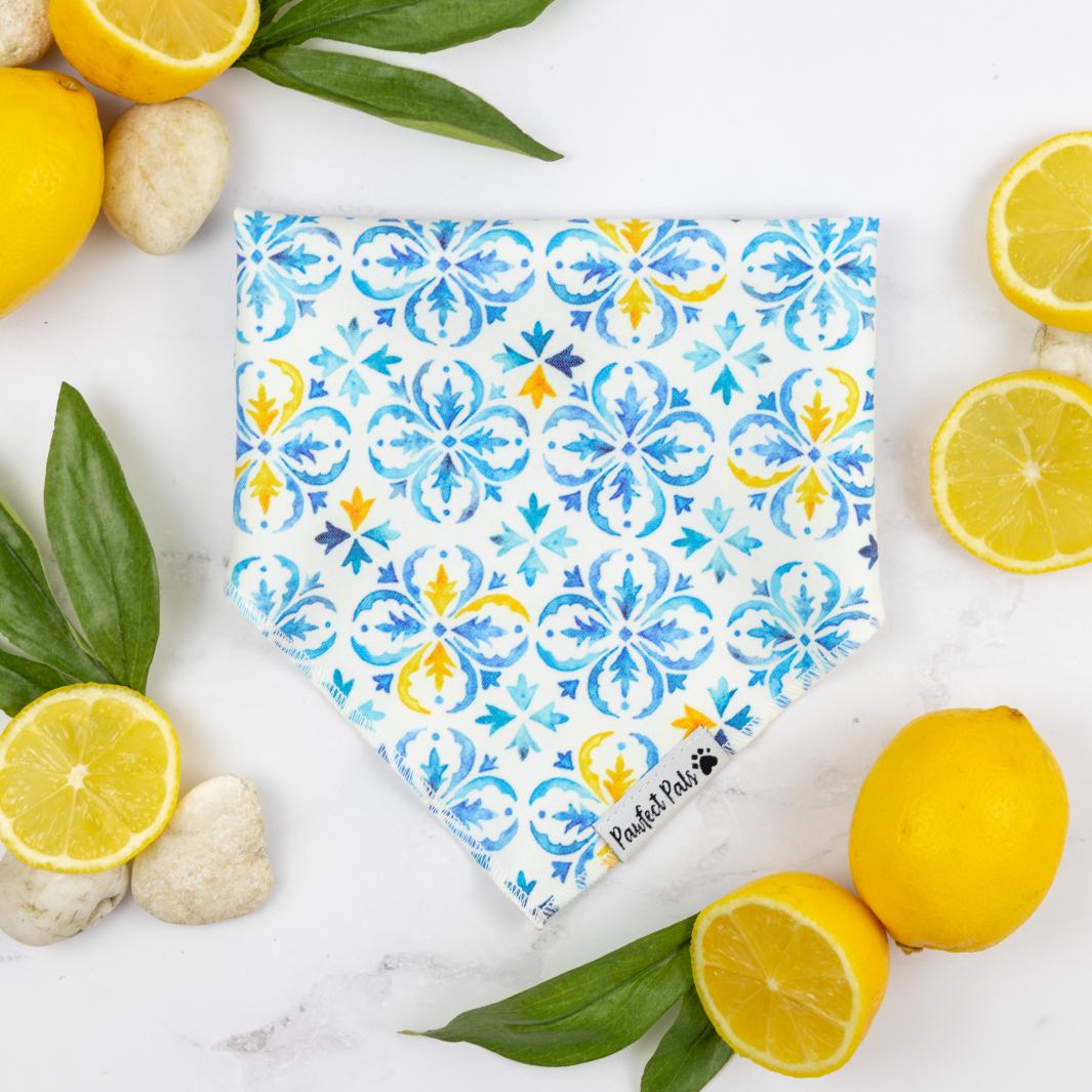 Santorini Summer cotton dog bandana.