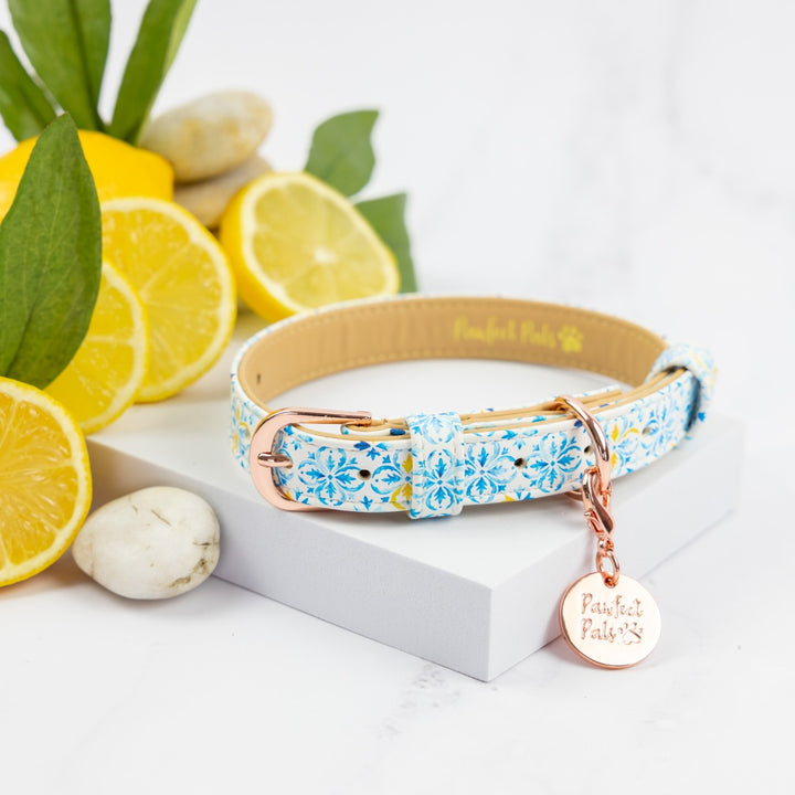 Santorini Summer dog collar.