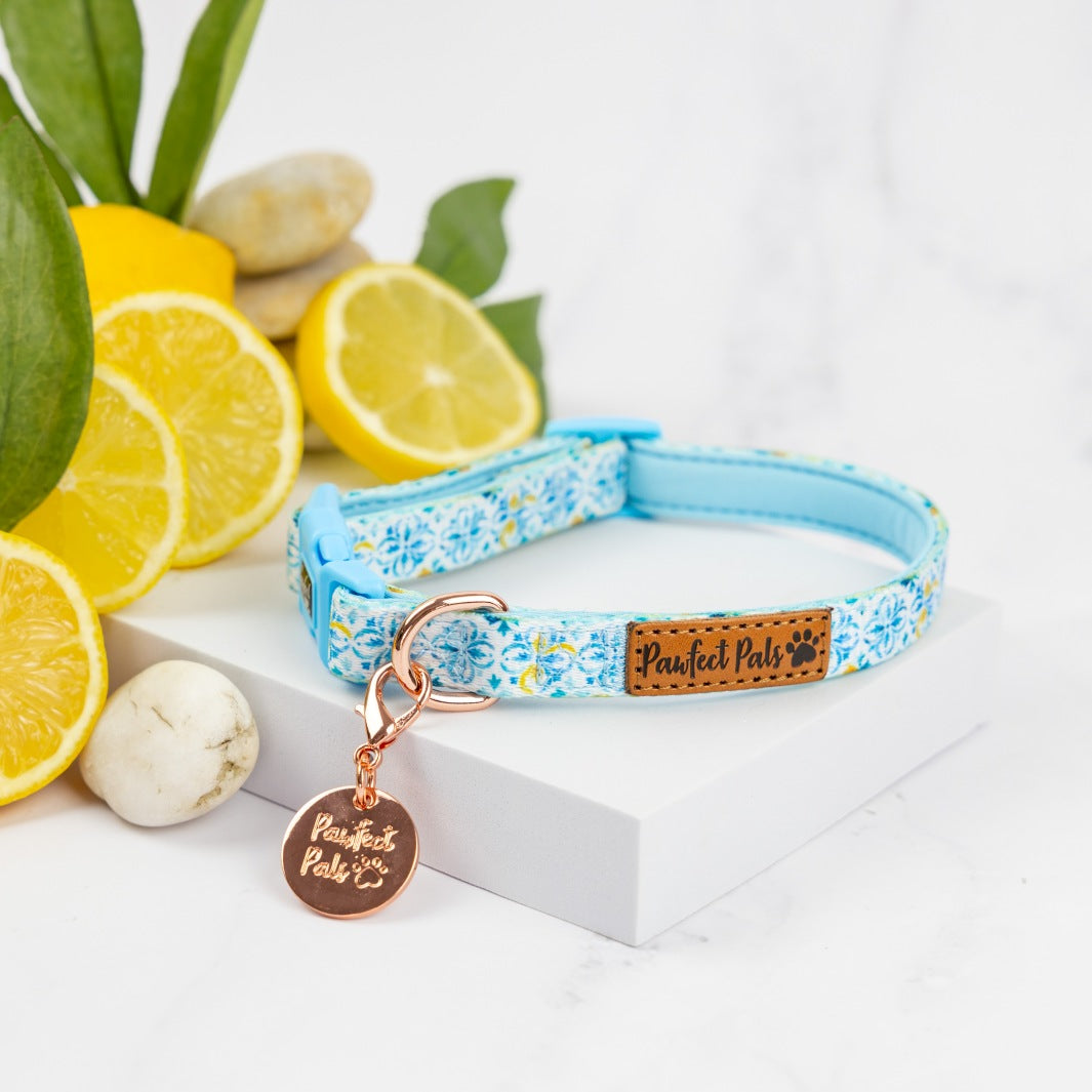 Santorini Summer soft dog collar.