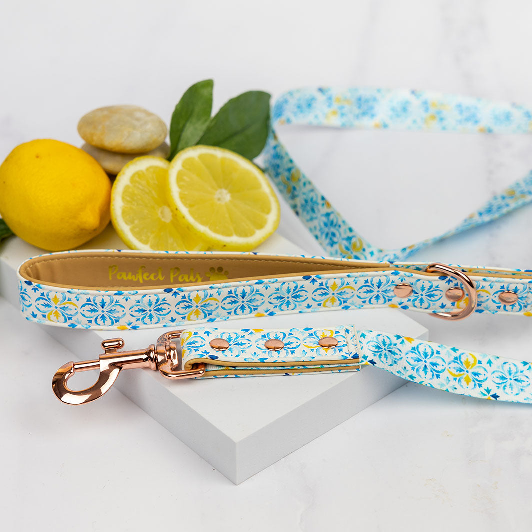 Santorini Summer vegan leather dog lead.