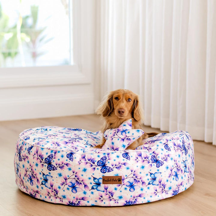 AmbassaDOG on the small Social Butterfly Cuddle Bud dog bed.