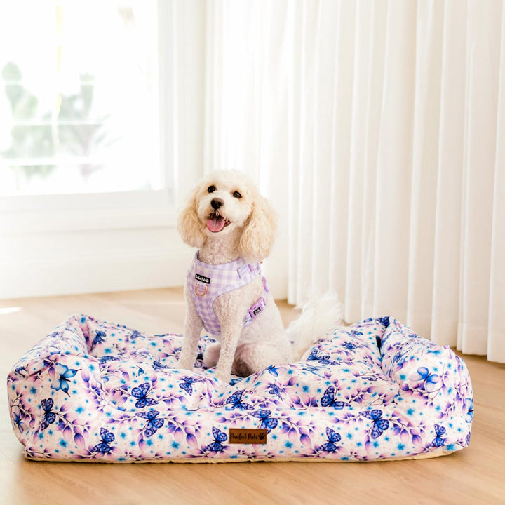 AmbassaDOG on the large Social Butterfly Snuggle Bud dog bed.