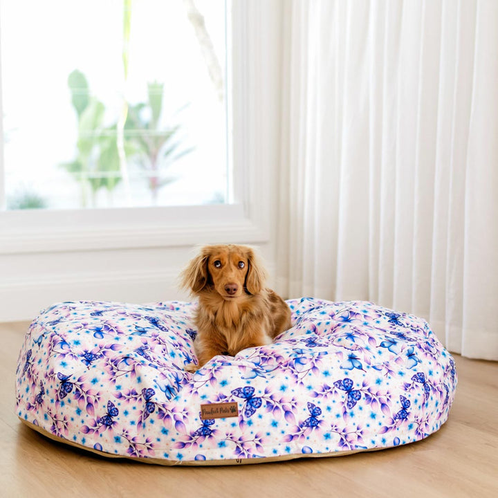 AmbassaDOG on the large Social Butterfly Cuddle Bud dog bed.