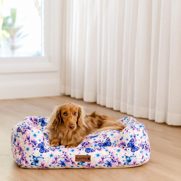 AmbassaDOG on the small Social Butterfly Snuggle Bud dog bed.