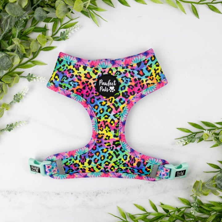 Wild Rainbow side of the Daydream Believer / Wild Rainbow reversible dog harness.