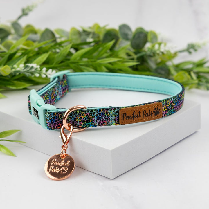 Wild Rainbow soft dog collar.