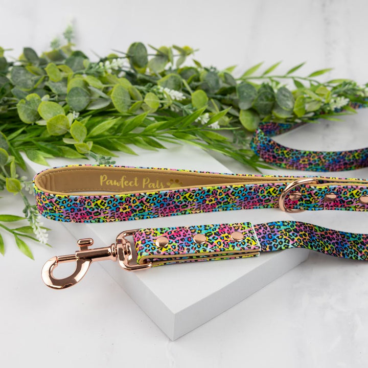 Wild Rainbow vegan leather lead.