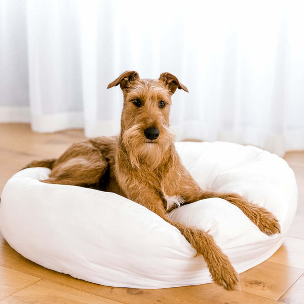 Absolute pet soothing bed best sale