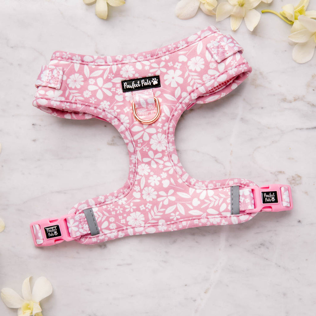 Pink 2024 puppy harness