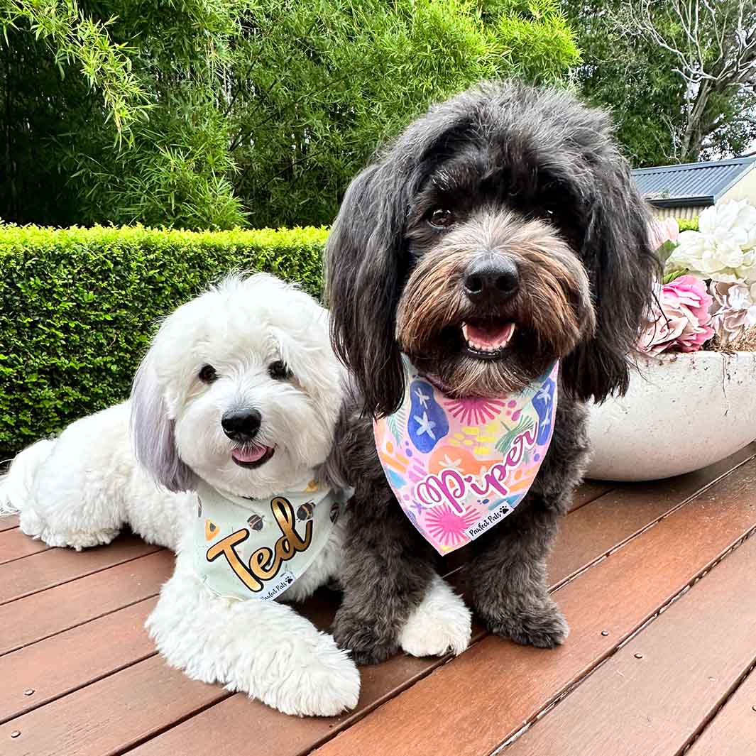 Personalised bandanas outlet